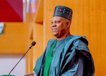 His Excellency, Kashim Shettima: a lesson in diplomatic “mine field”