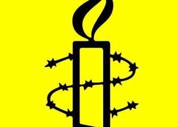 Independent Observer Faults Amnesty International’s Report On Zamfara Crisis, Calls for Balanced Narrative
