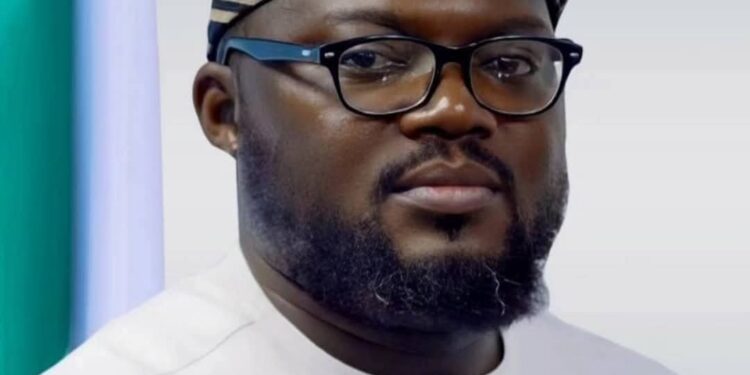 One year in office -CEO Digital bridge David Daser pledge more digital skills development , training for Nigerians