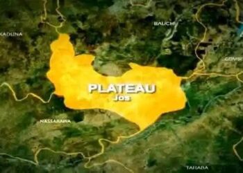 Tomato farmers in Plateau cry over insecurity, poor storage, processing facilities