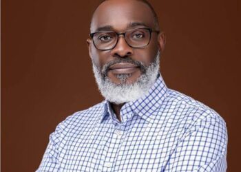 The Homeland Security Appointment Debate: Why Nigeria Must Avoid Institutional Overlap