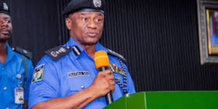 Repositioning The Traffic Warden Unit: A Call For Urgent Reform By IGP Disu