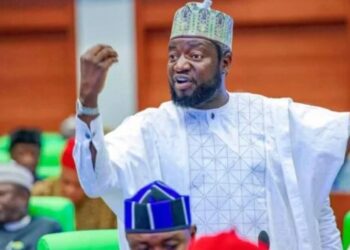 2027-  APC will remain unbeaten; Atiku, Obi lack structure to unseat Tinubu – Rep Gagdi