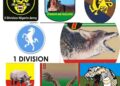 Beyond New Army Divisions: Rethinking Plateau State’s Security Architecture