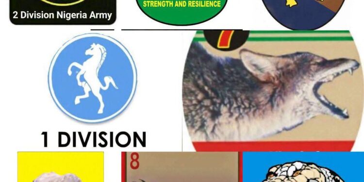 Beyond New Army Divisions: Rethinking Plateau State’s Security Architecture