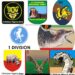 Beyond New Army Divisions: Rethinking Plateau State’s Security Architecture